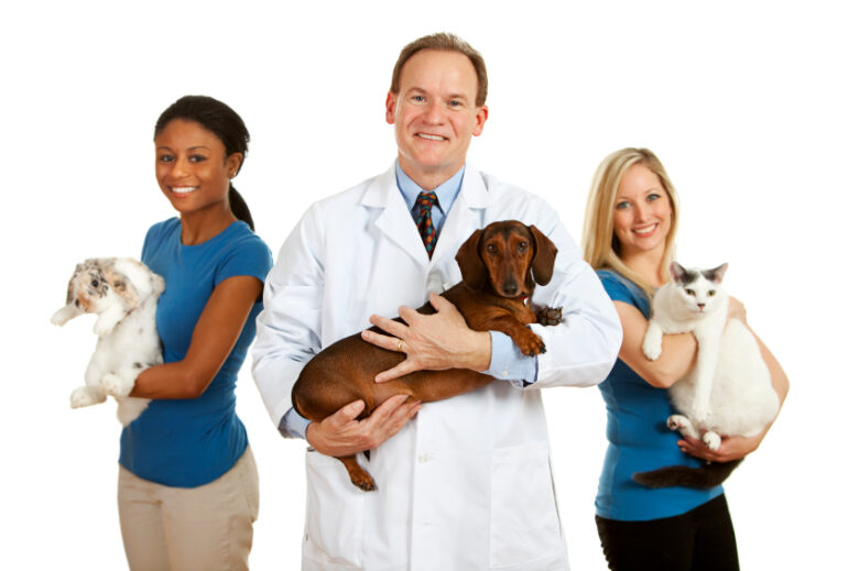 Veterinarian as a Job